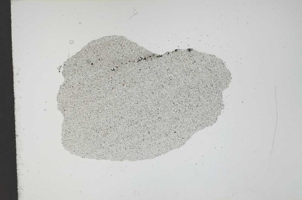 Plane Polarized, S13043