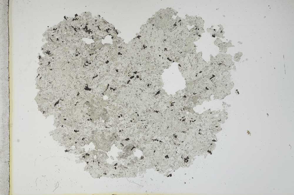 Plane Polarized, S13044