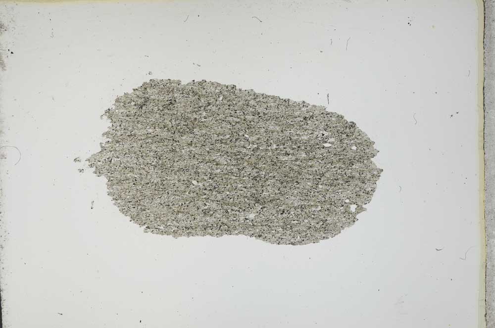 Plane Polarized, S13045