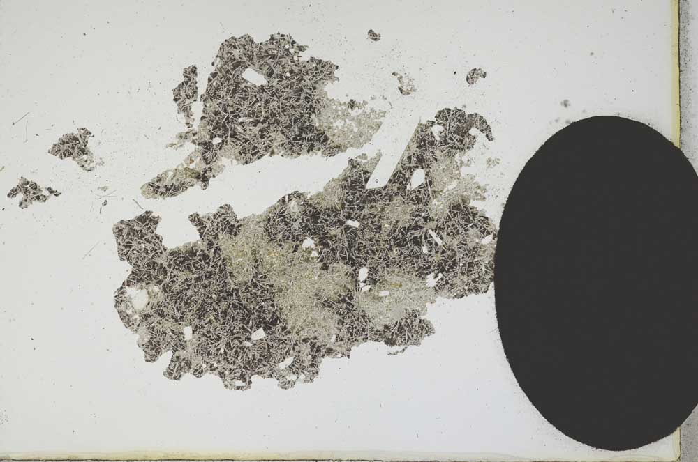 Plane Polarized, S13047