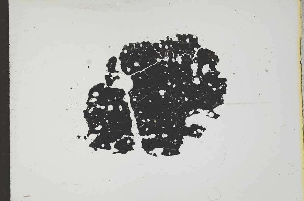 Plane Polarized, S13048