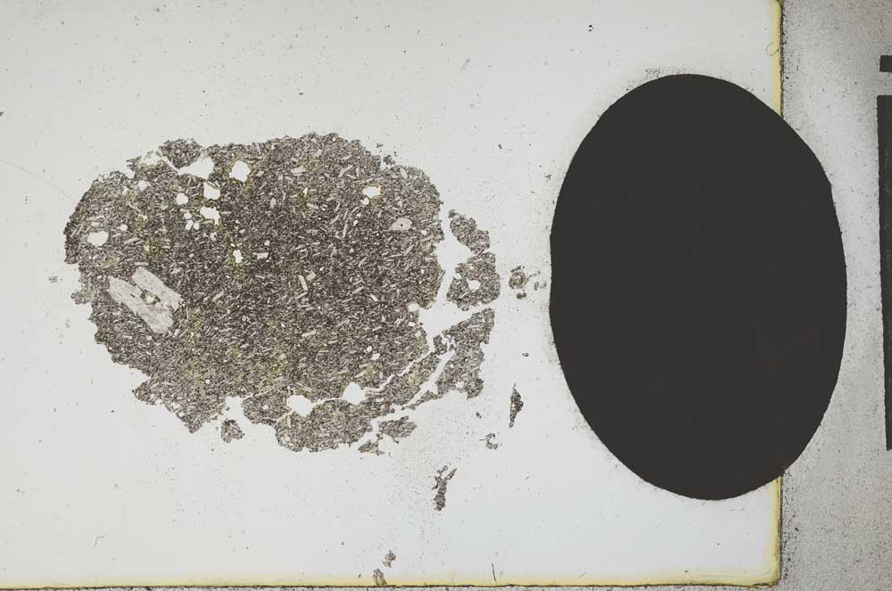 Plane Polarized, S13078