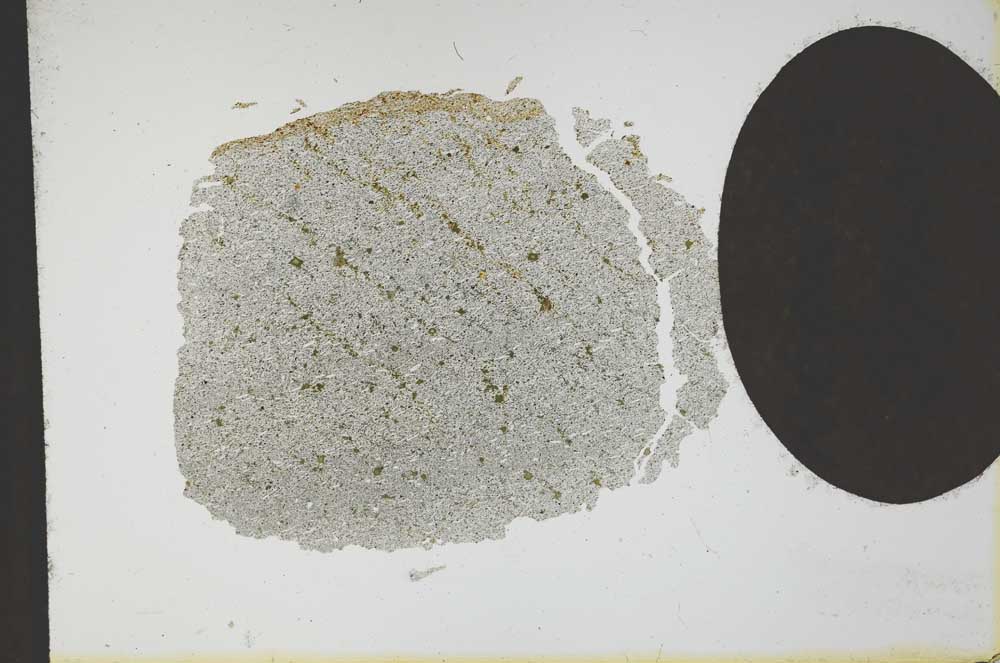 Plane Polarized, S13083