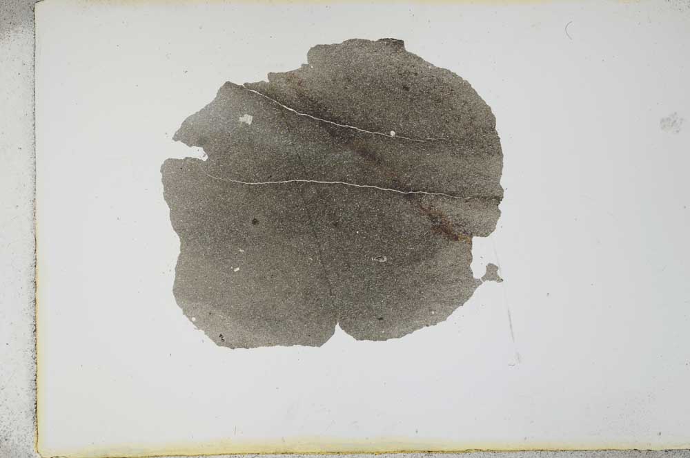Plane Polarized, S13084