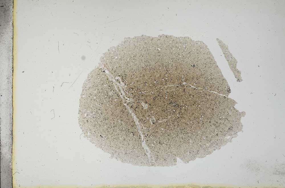 Plane Polarized, S13092