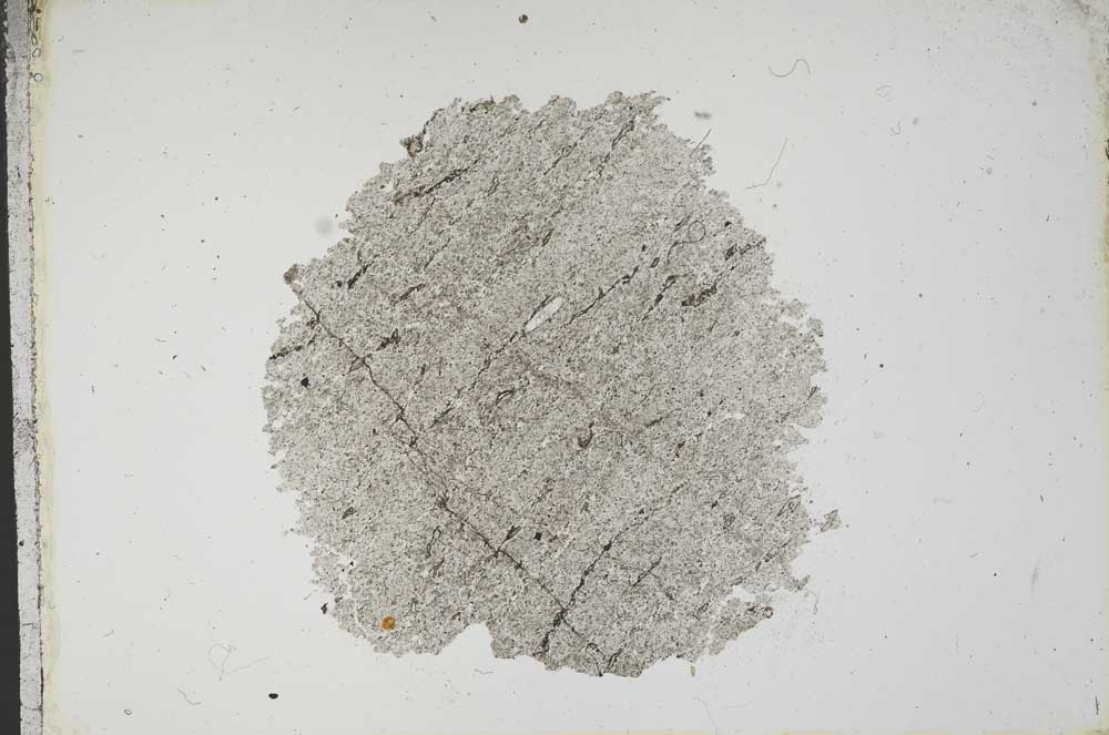 Plane Polarized, S13095