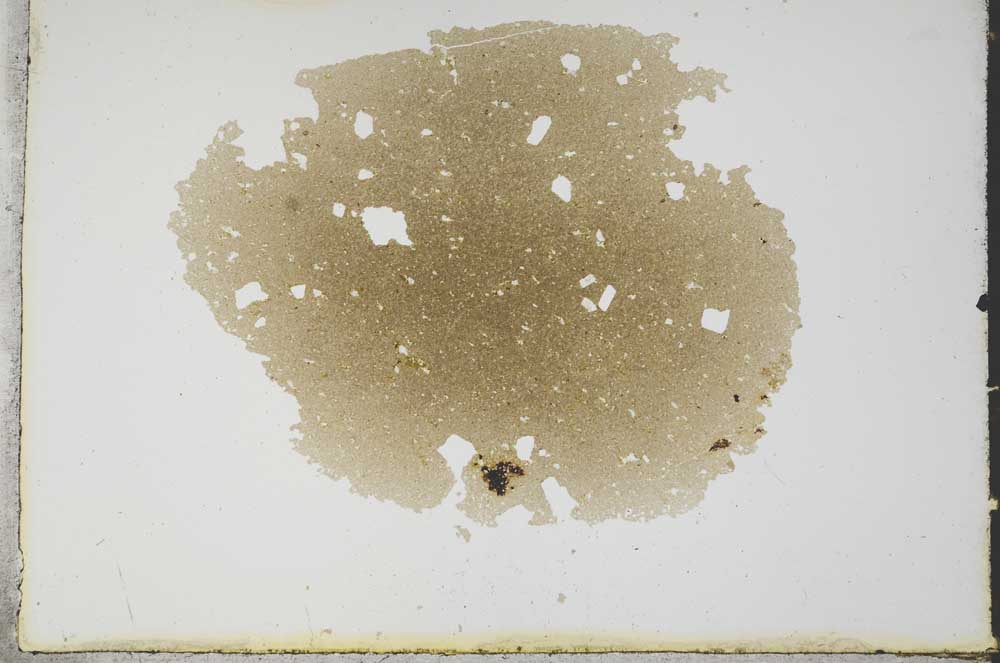 Plane Polarized, S13101