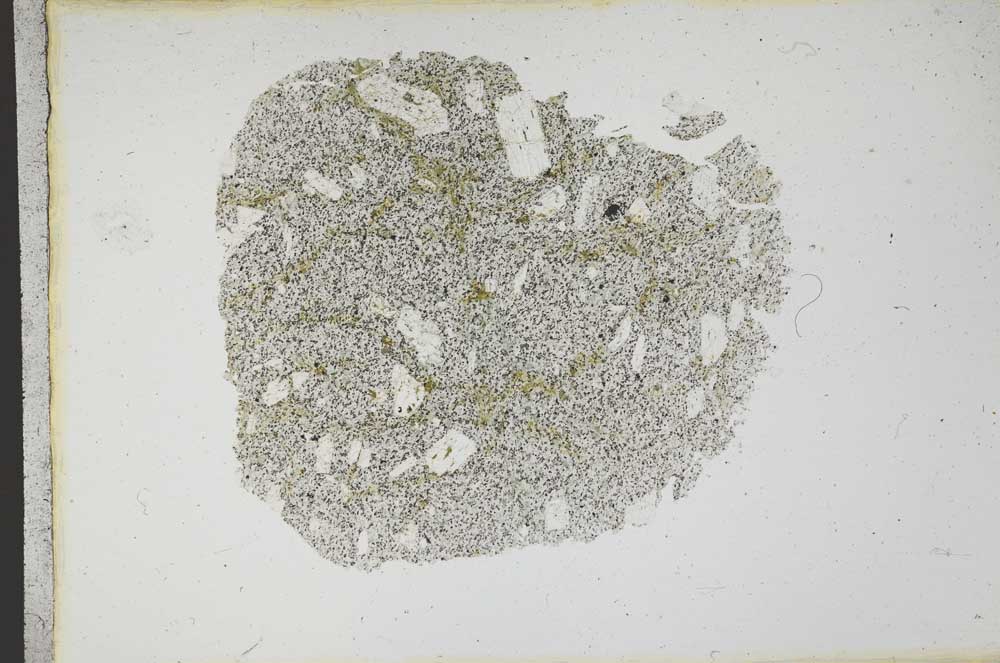 Plane Polarized, S13117