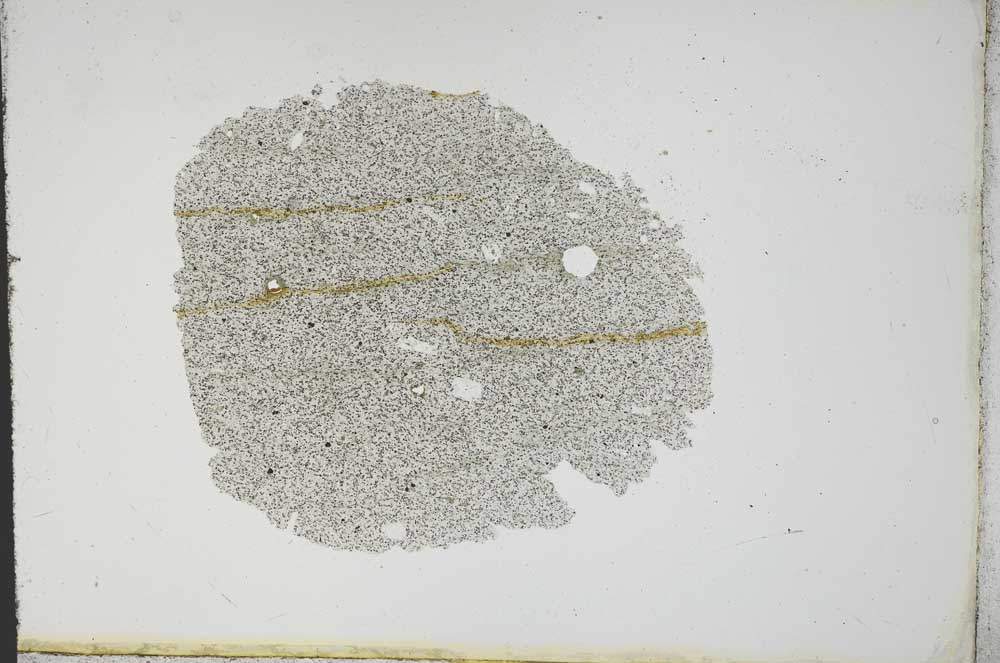Plane Polarized, S13118