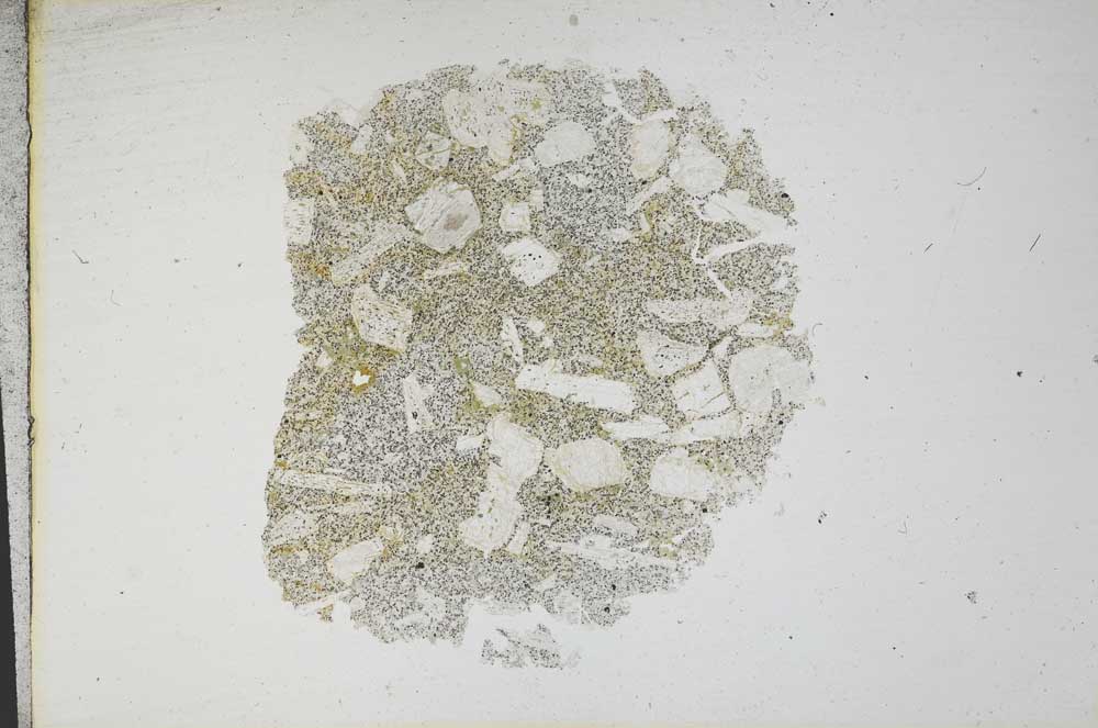 Plane Polarized, S13124