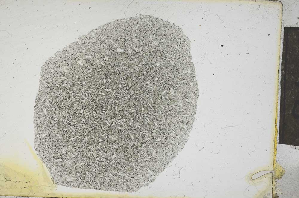 Plane Polarized, S13129