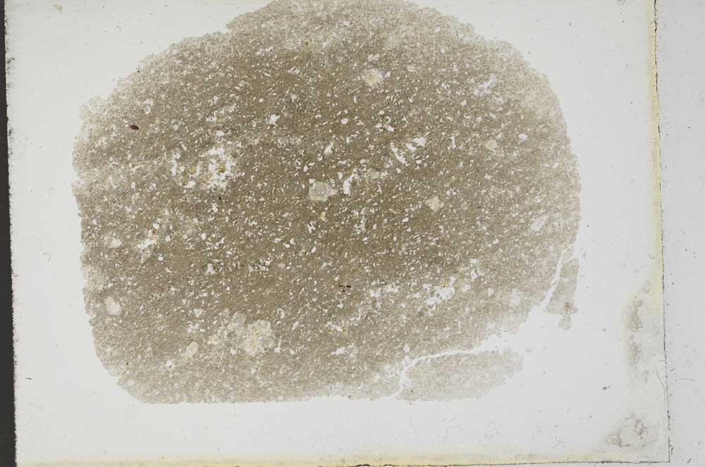 Plane Polarized, S13130