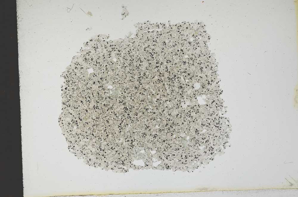 Plane Polarized, S13135