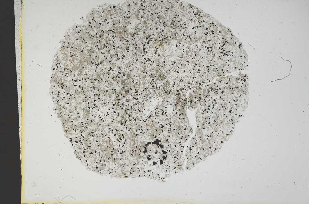 Plane Polarized, S13137