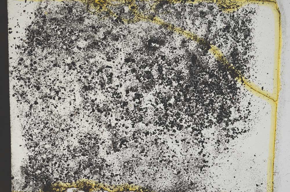 Plane Polarized, S13138