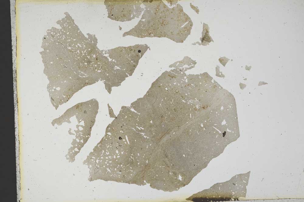 Plane Polarized, S13139