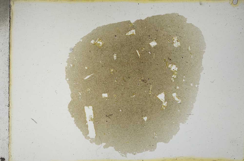 Plane Polarized, S13140