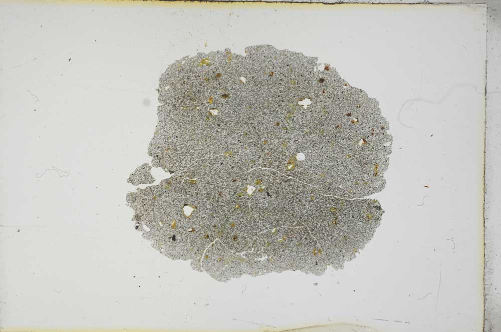 Plane Polarized, S13147