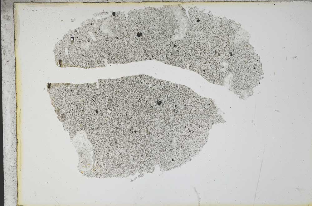 Plane Polarized, S13155