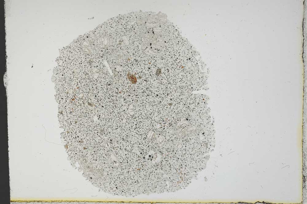 Plane Polarized, S13158