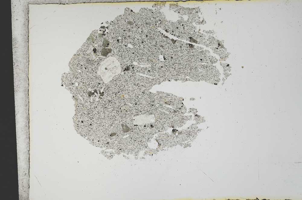 Plane Polarized, S13163