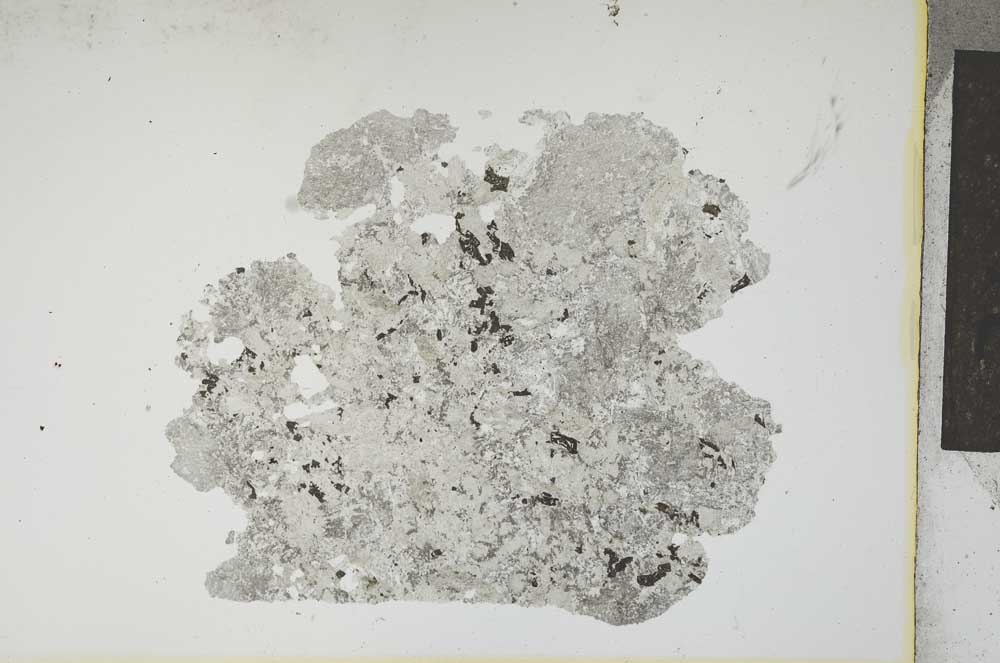 Plane Polarized, S13164