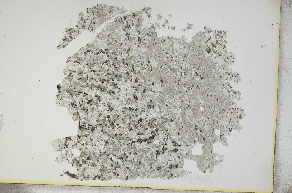 Plane Polarized, S13165