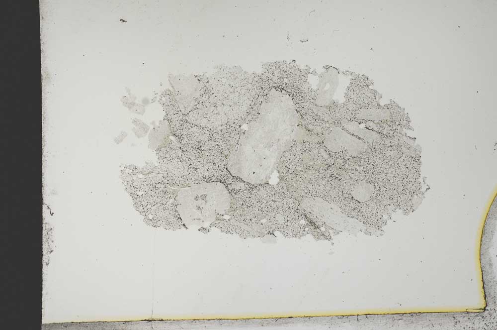 Plane Polarized, S13166