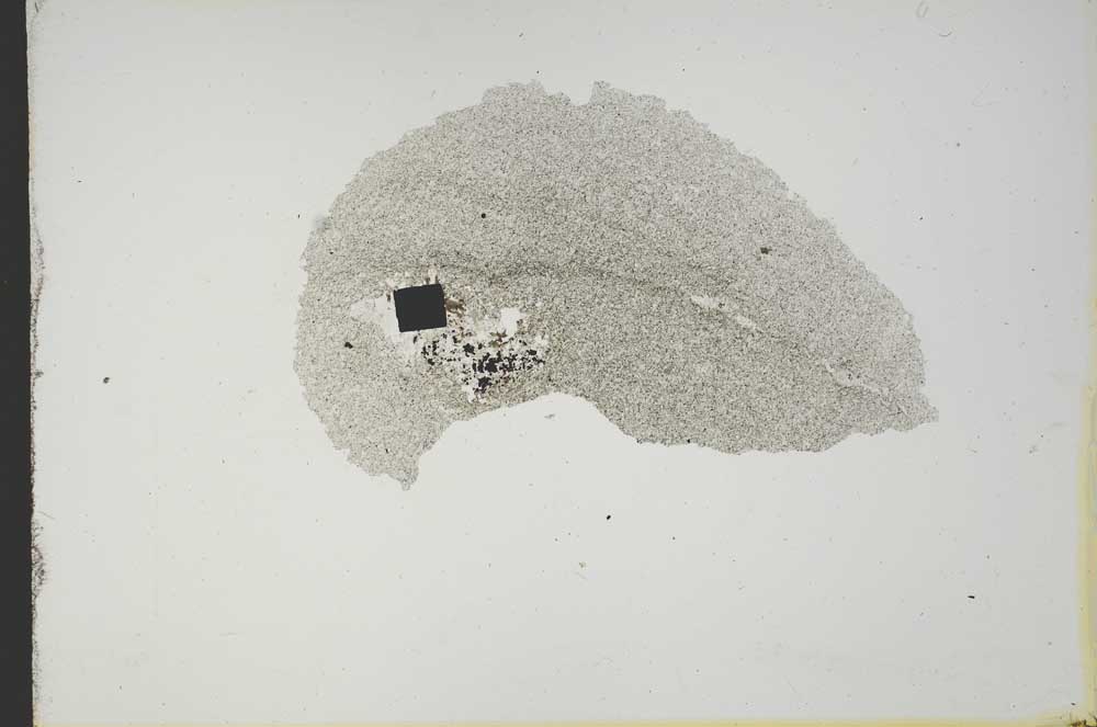 Plane Polarized, S13167