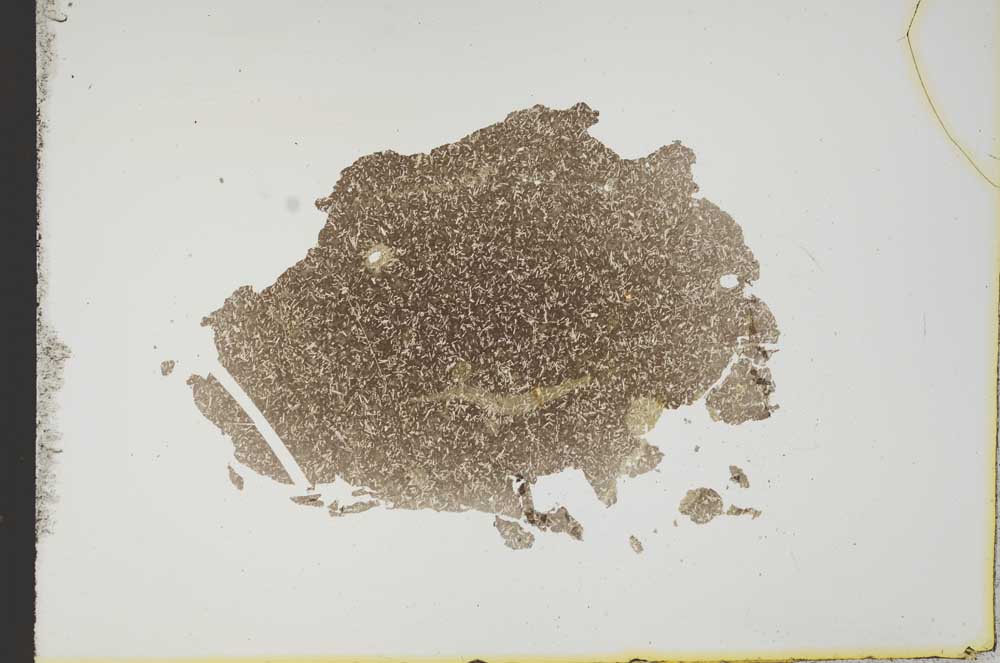 Plane Polarized, S13169