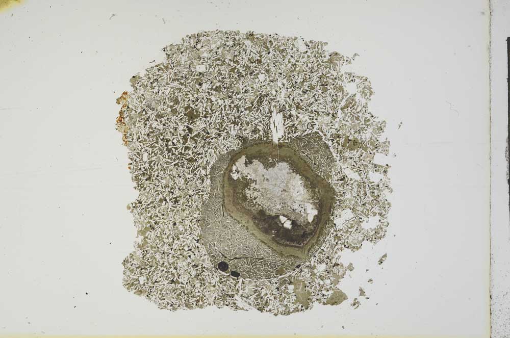 Plane Polarized, S13172