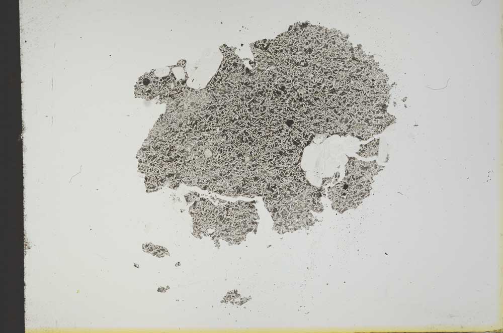 Plane Polarized, S13173