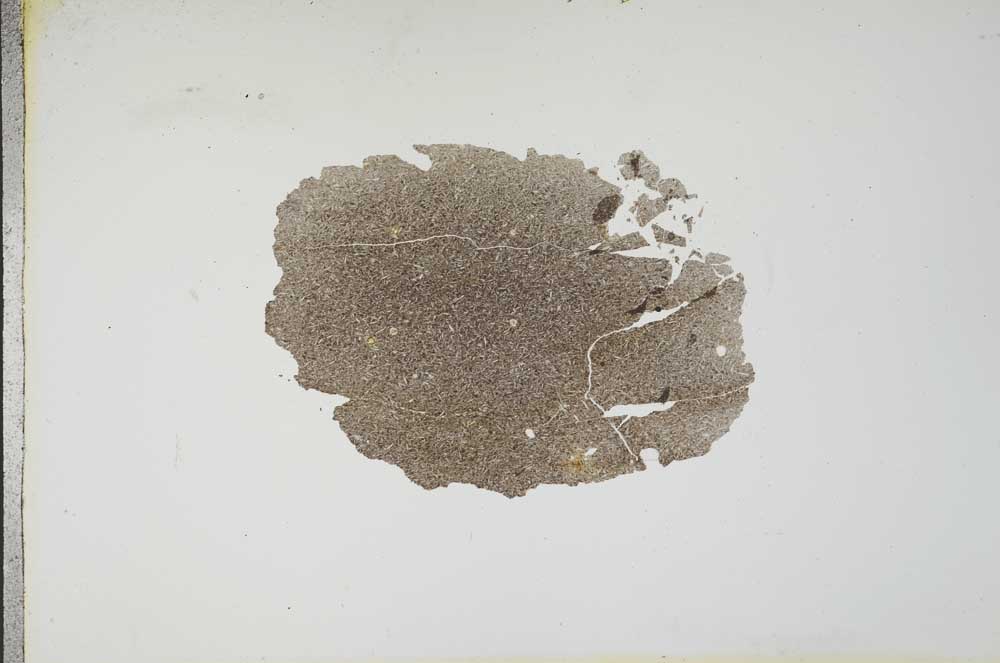 Plane Polarized, S13174