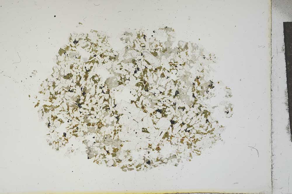 Plane Polarized, S13176