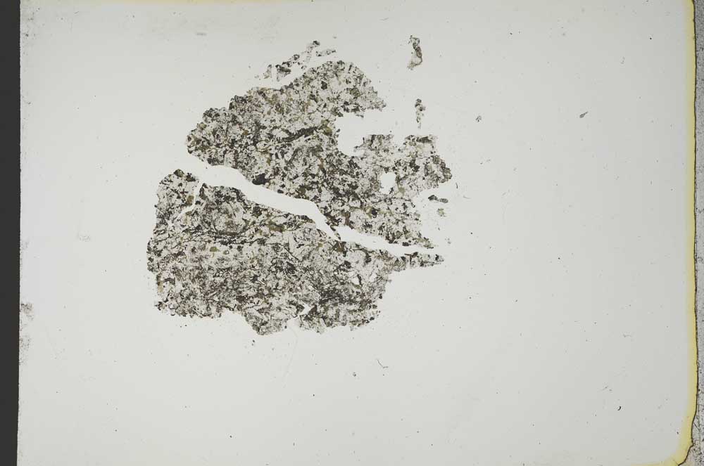 Plane Polarized, S13177