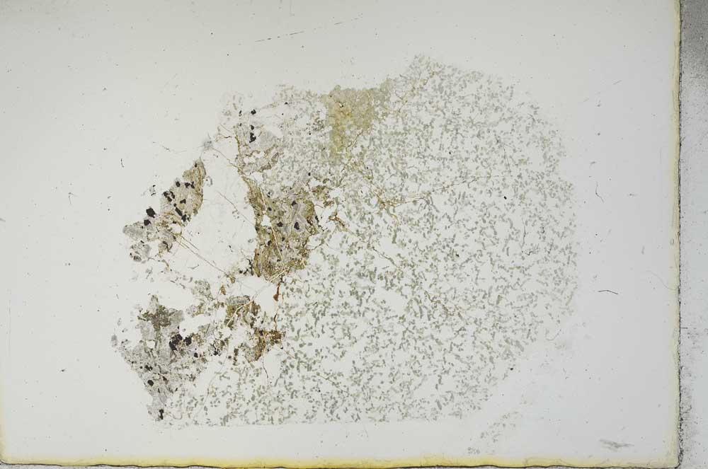 Plane Polarized, S13179