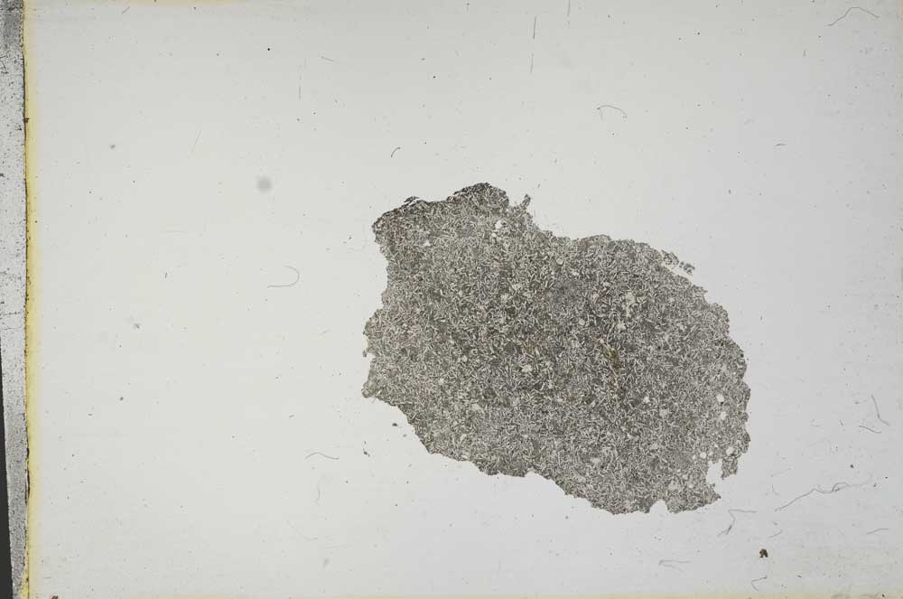 Plane Polarized, S13182