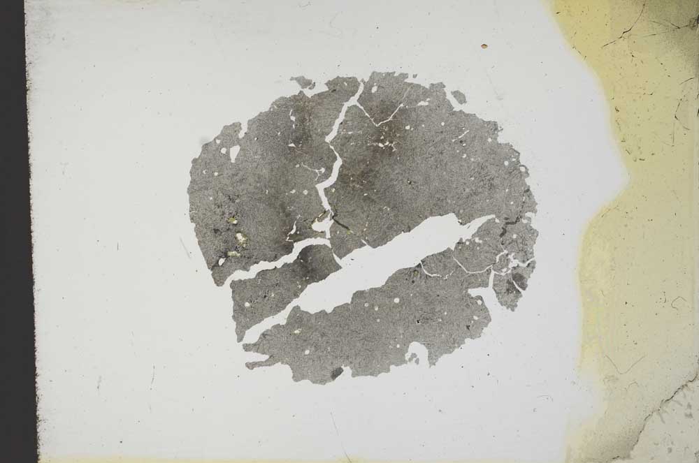 Plane Polarized, S13183