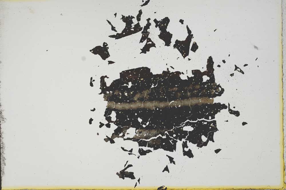 Plane Polarized, S13184