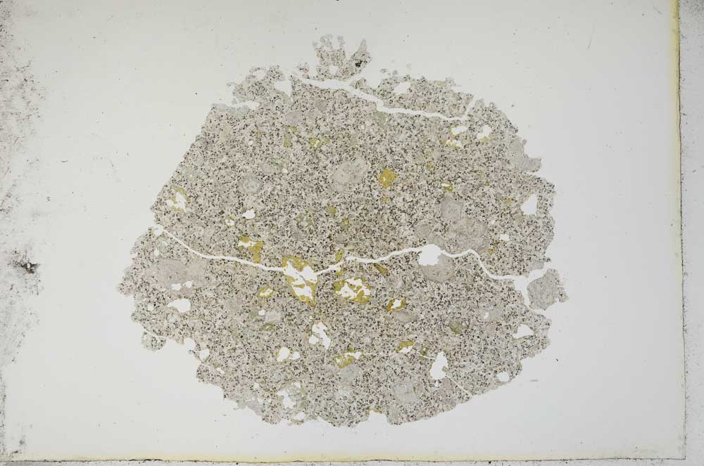 Plane Polarized, S13190