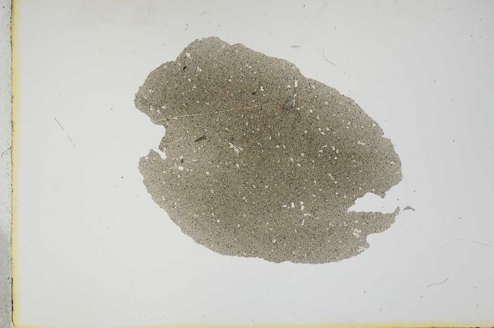 Plane Polarized, S13192