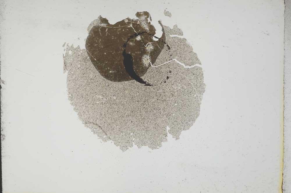 Plane Polarized, S13193