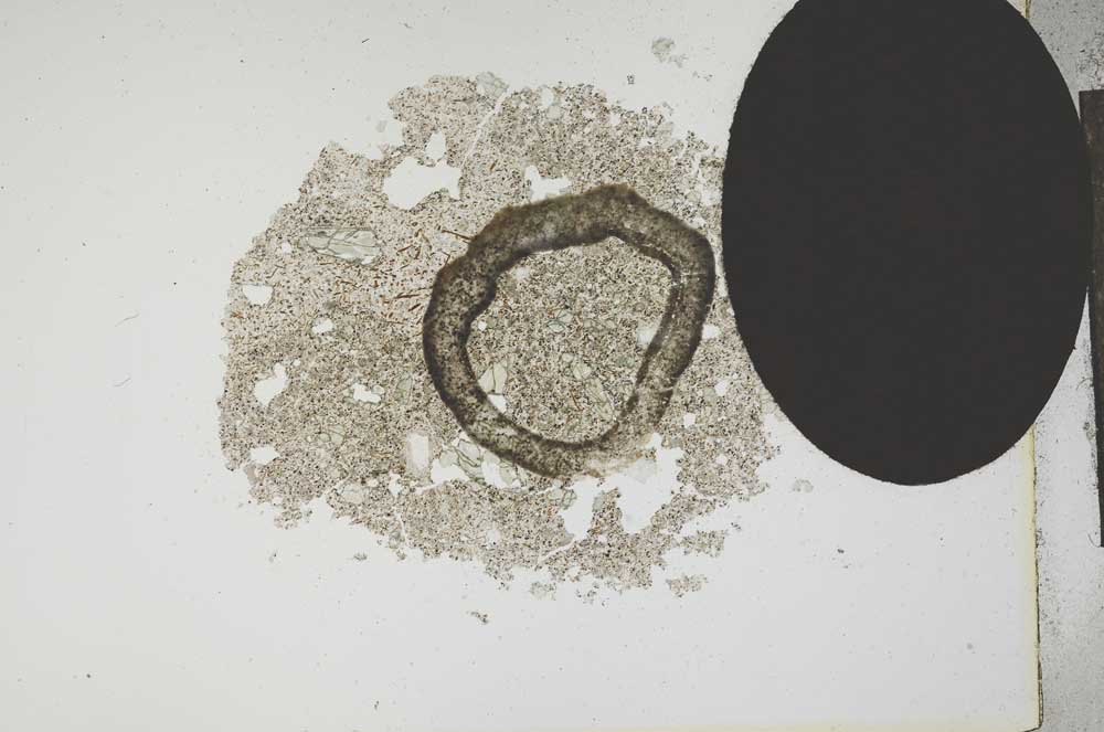 Plane Polarized, S13197