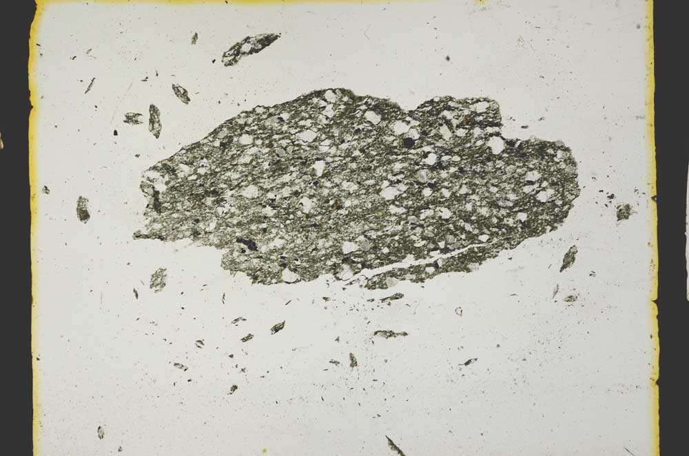 Plane Polarized, S2831