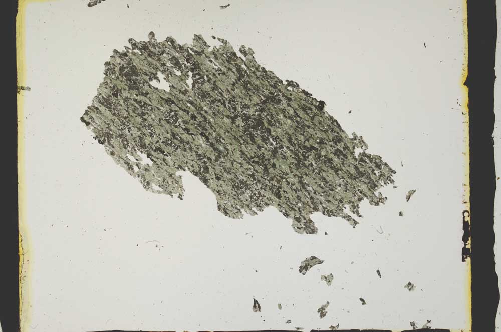Plane Polarized, S2832