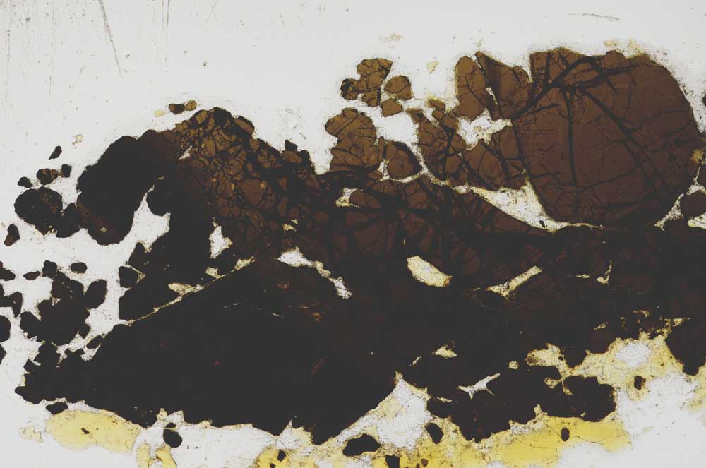 Plane Polarized, S2851