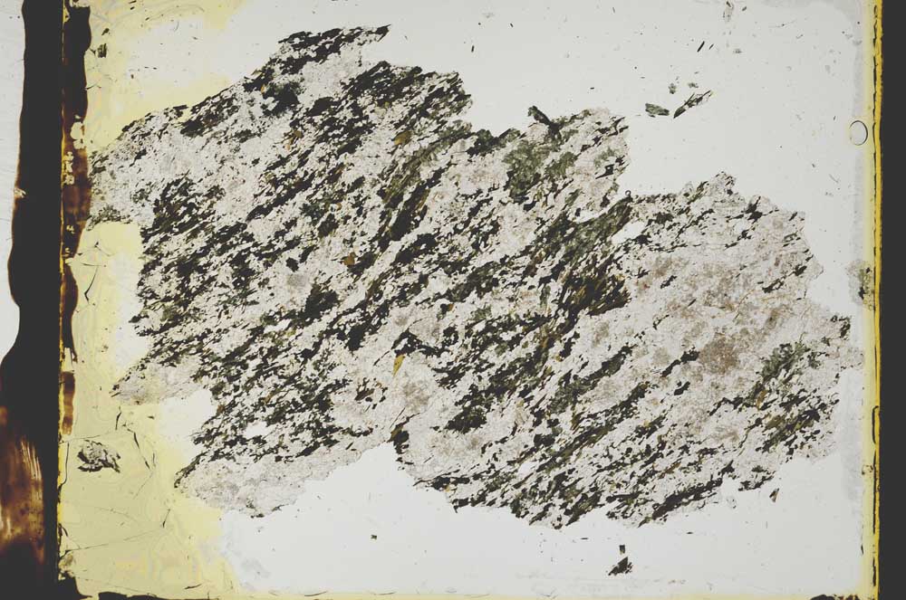 Plane Polarized, S2865