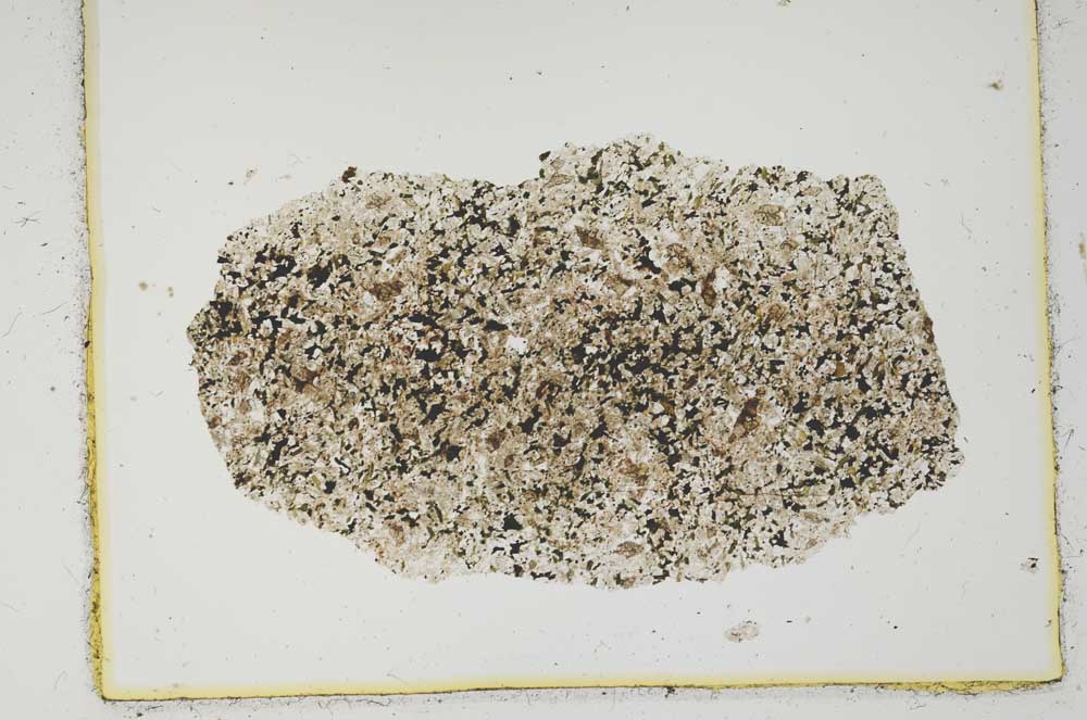 Plane Polarized, S2877/a