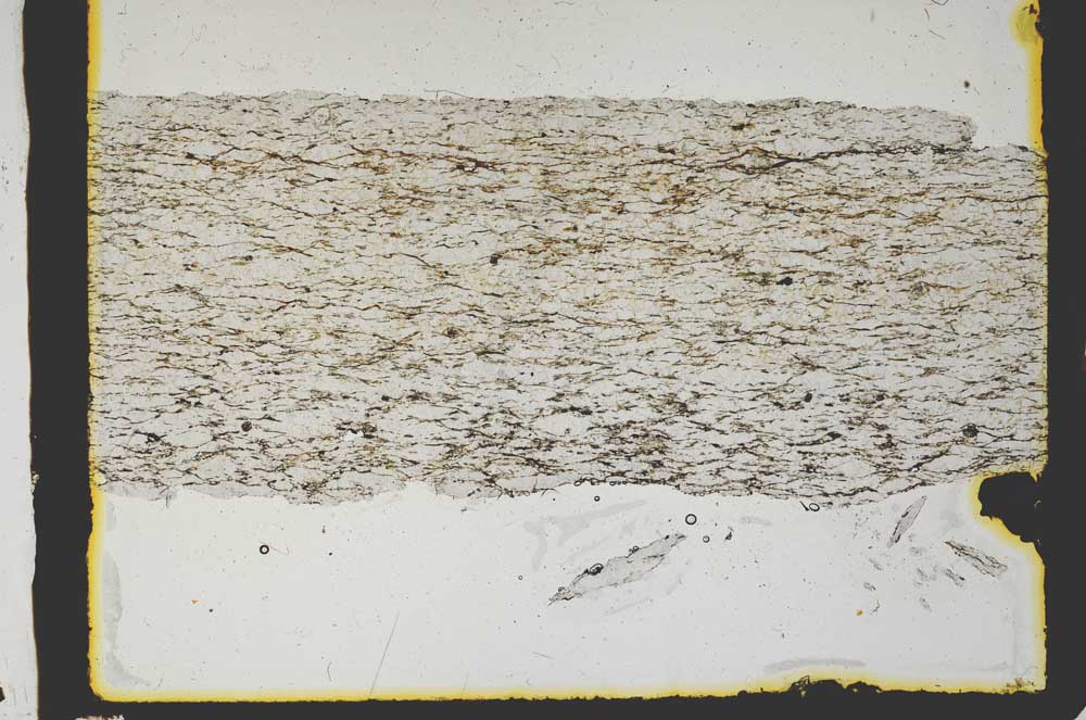 Plane Polarized, S2916