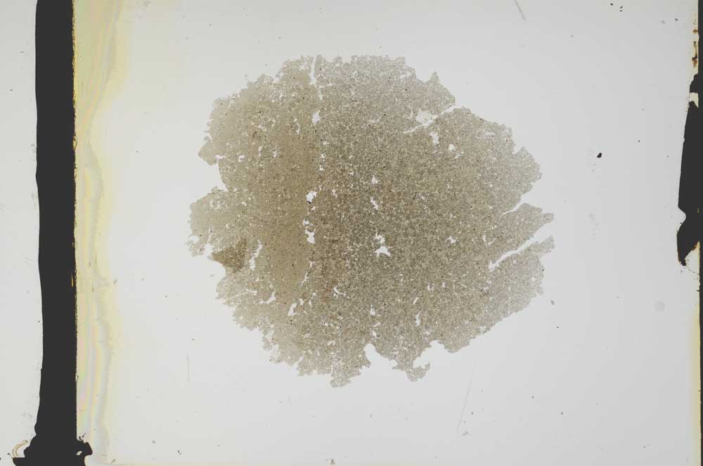 Plane Polarized, S2960